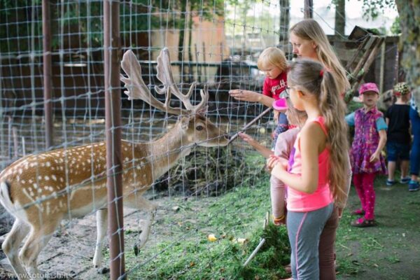 Lauko darželyje vaikai išmoksta būti laimingais