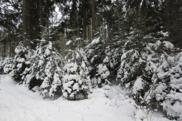 Vištyčio regioninis parkas kviečia į žygį