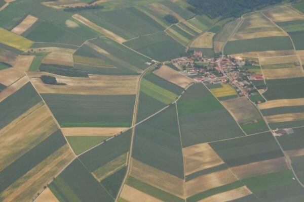 Ant slenksčio – pasėlių deklaravimas. Kas keičiasi?