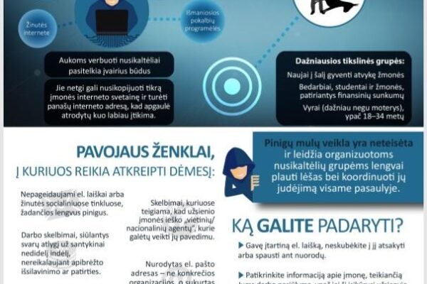 Pinigų plovimas: už įstatymo ribų gali nuvesti ir naivumas