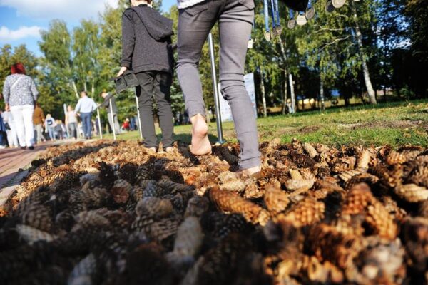 Marijampolės bėgimo bendruomenė miestui padovanojo „Basakojų sveikatingumo taką“