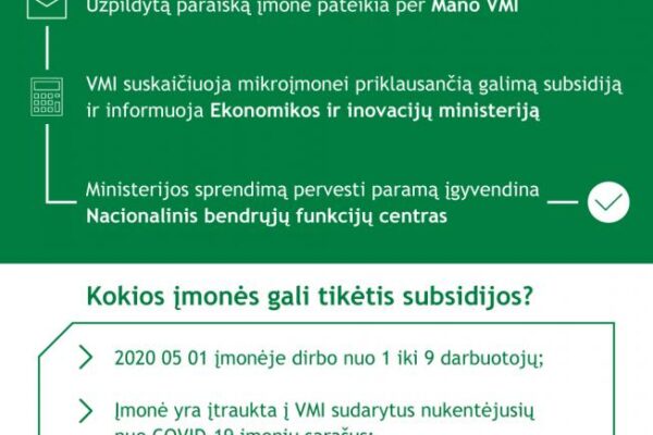 Subsidijos mikroįmonėms: kaip, kiek ir kada?