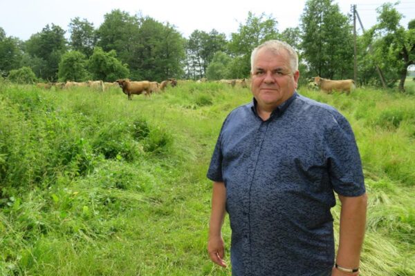 Didžiausias rajone pieno gamintojas likviduoja karvių bandą