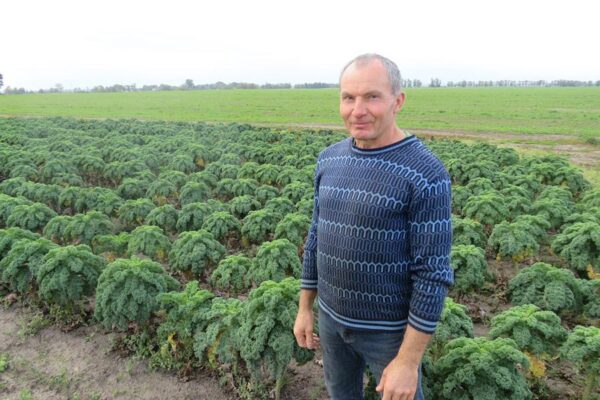 Daržovių ūkyje veiklos šeimai nestinga ištisus metus