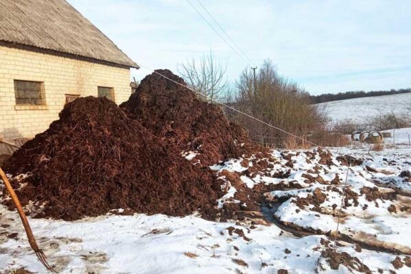 Su mėšlu ir srutomis sėkmingai tvarkosi ne visi ūkininkai