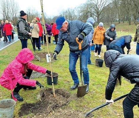 Senjorai miestą puošia sodindami medelius