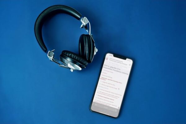 Svarbiausia informacija apie rinkimus – audio formatu