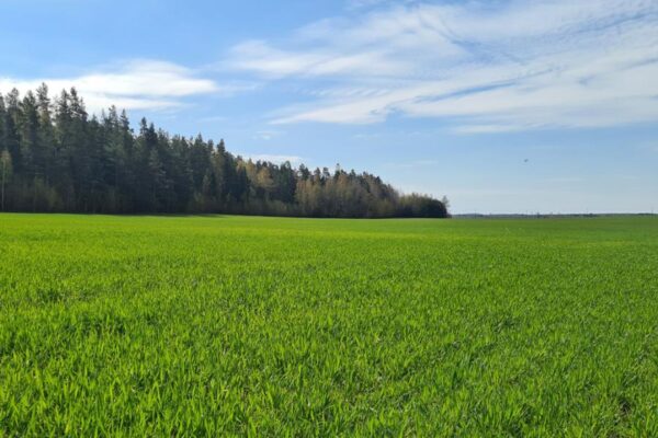 Įsibėgėja pasėlių ir naudmenų deklaravimas – 
žemdirbiai raginami jo neatidėlioti