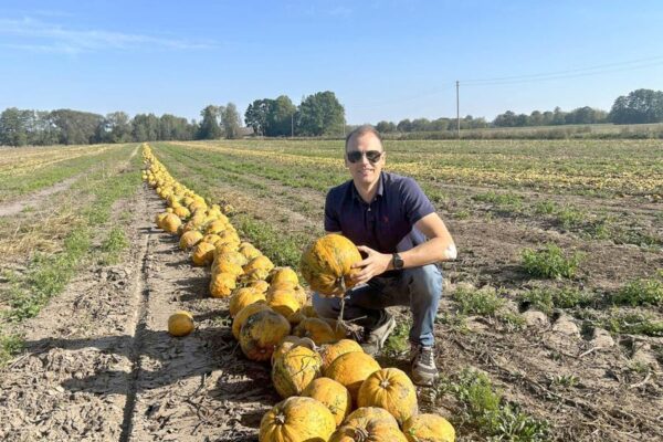 Inovatyviame ūkyje puikiai dera ir tradicinės, ir netradicinės kultūros