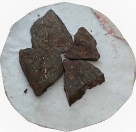 Lietuvos geologijos tarnybos laboratorijoje tiriami ir meteoritai